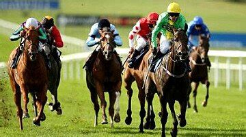 portugal horse racing|Horse races in Portugal .